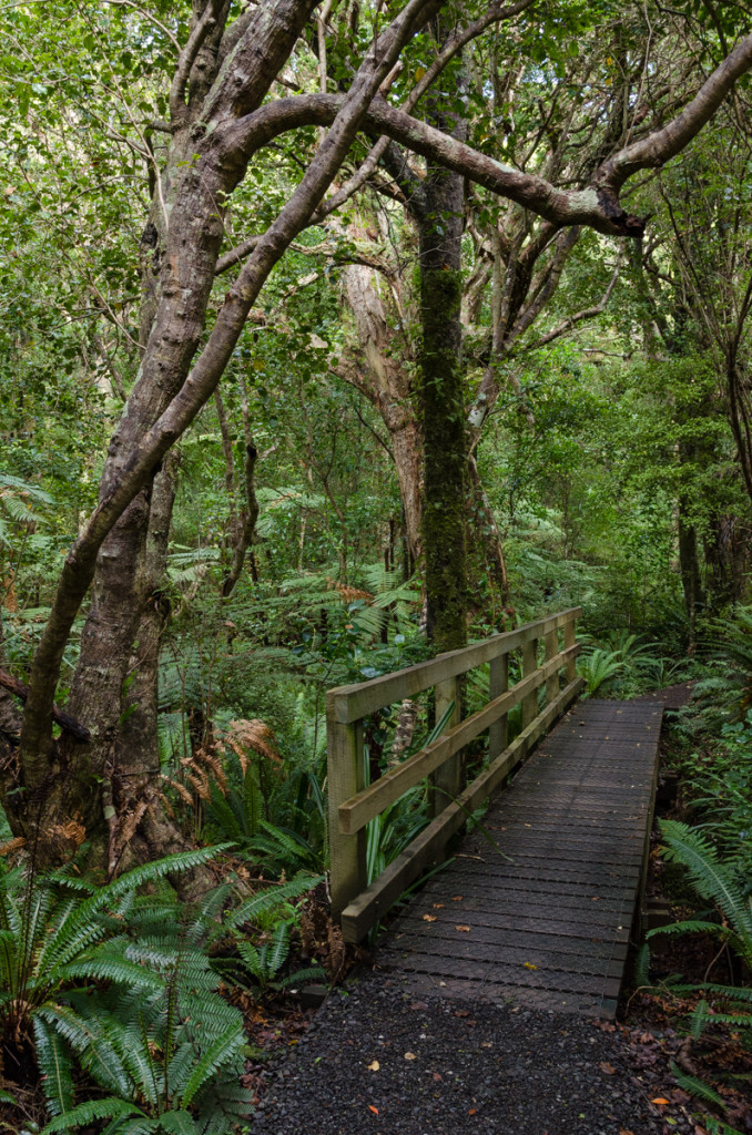 Ulva Island, New Zealand