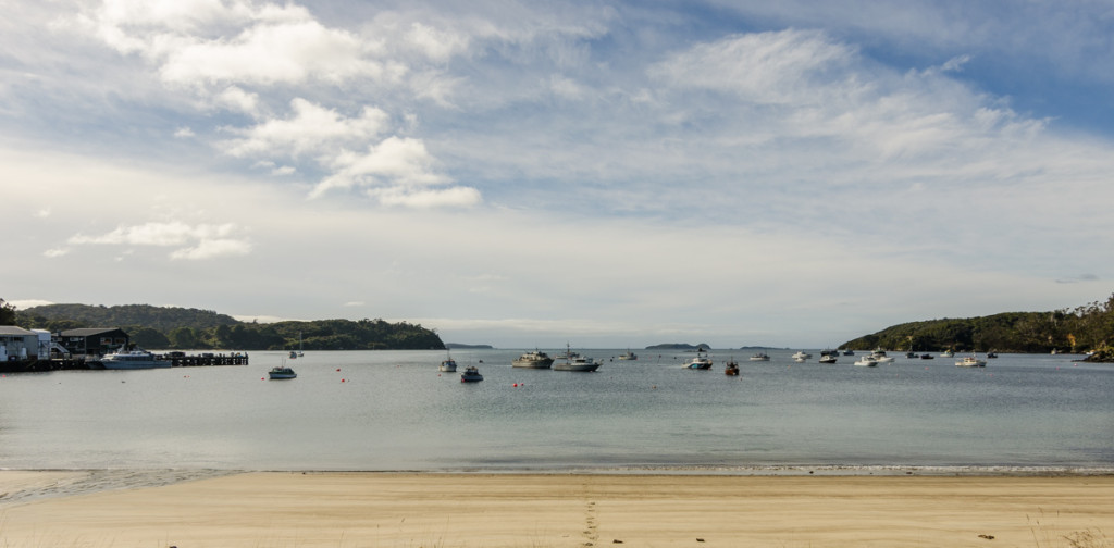 Oban, Stewart Island, New Zealand