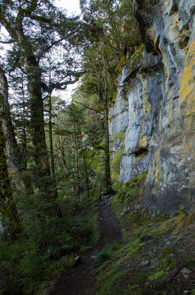 Limestone bluffs, Kepler Track