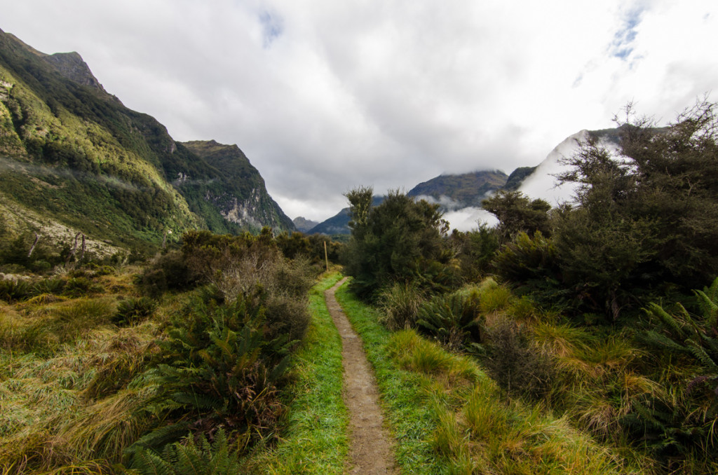 Kepler Track