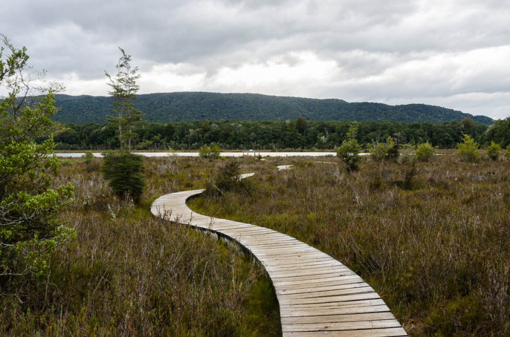 Wetland, Kepler Track