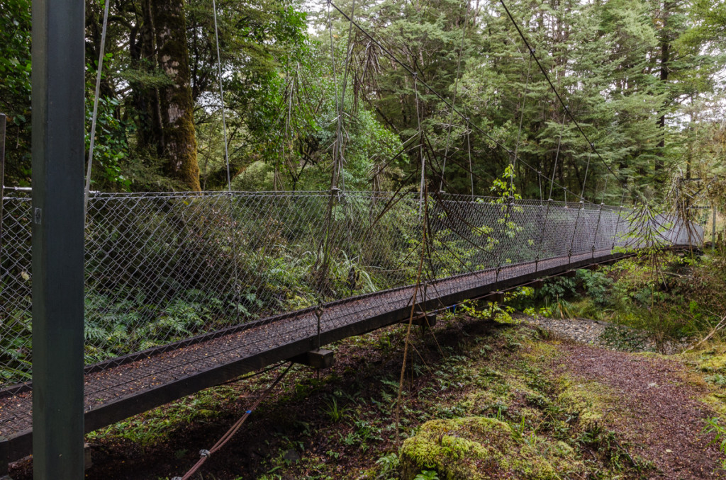 Swing bridge, Kepler Track