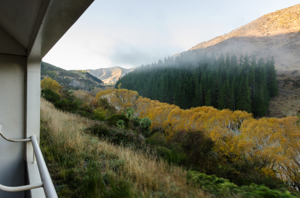 View from Coastal Pacific's open air carriage