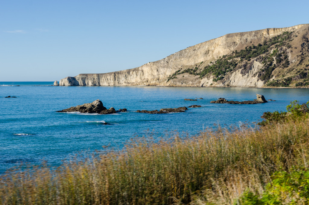 View from Coastal Pacific train