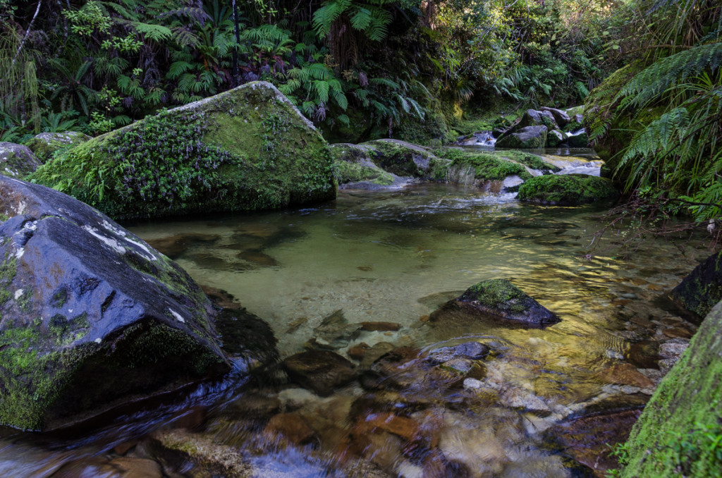 River by Cleopatras Pool , Abel Tasman Coast Track