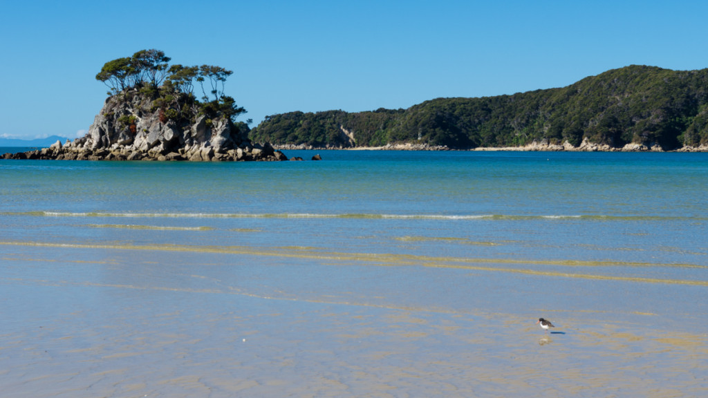 Torrent Bay, Abel Tasman Coast Track