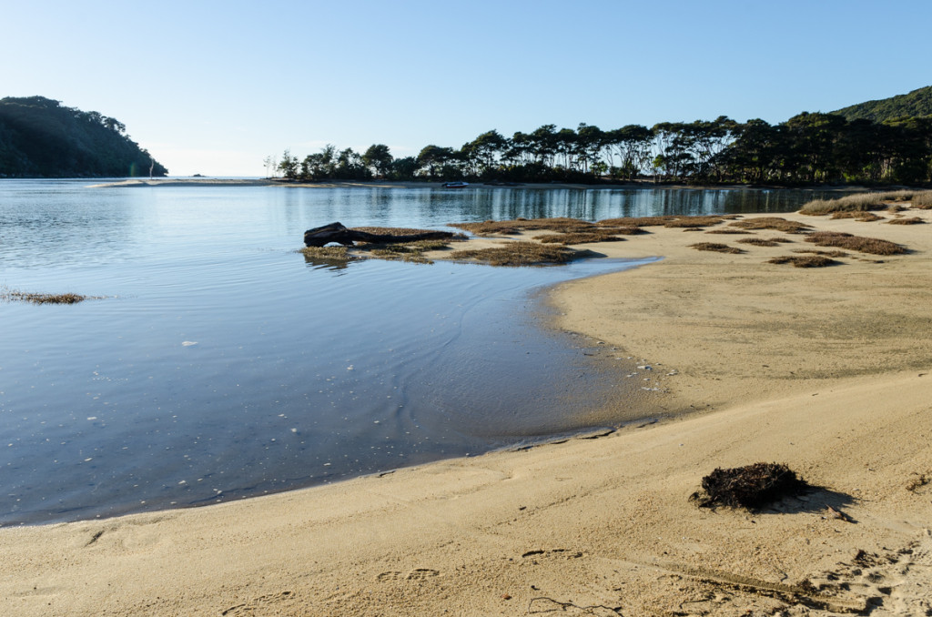 Rising tide by Bark Bay Hut, Abel Tasman Coast Track