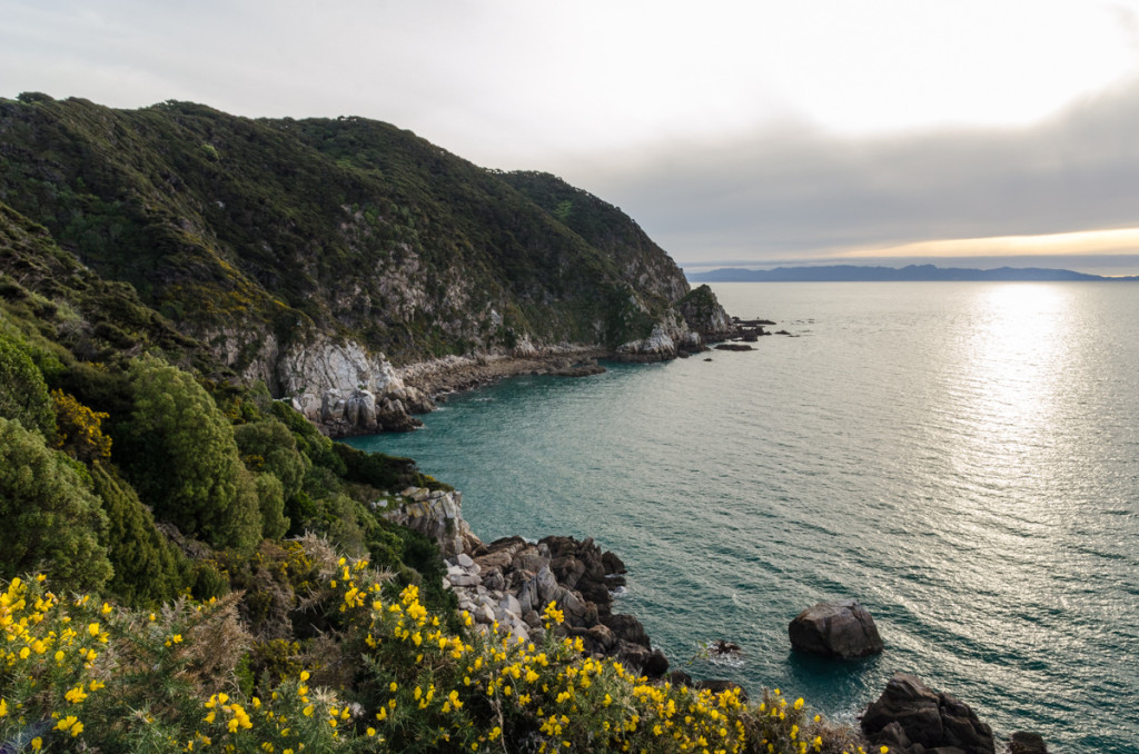 Separation Point, Abel Tasman Coast Track