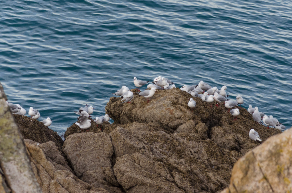 Separation Point, Abel Tasman Coast Track