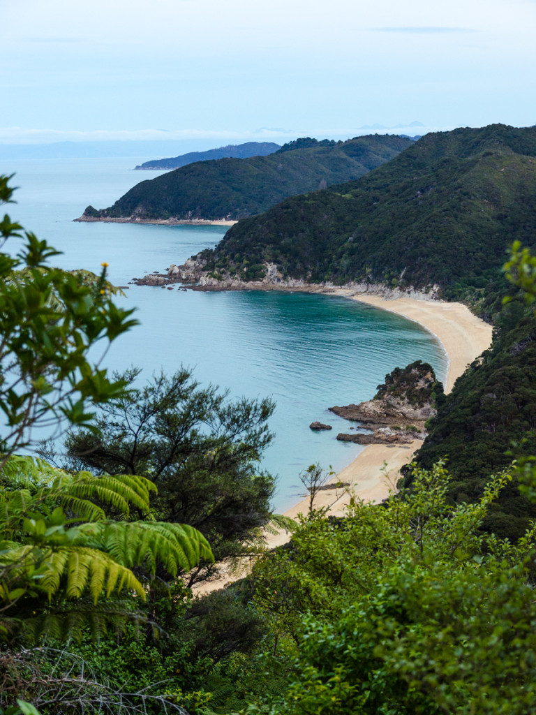 Abel Tasman Coast Track