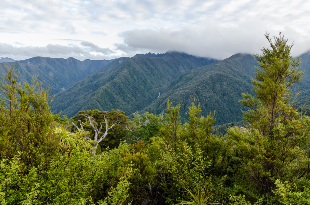 View from Flanagans Corner, Heaphy Track