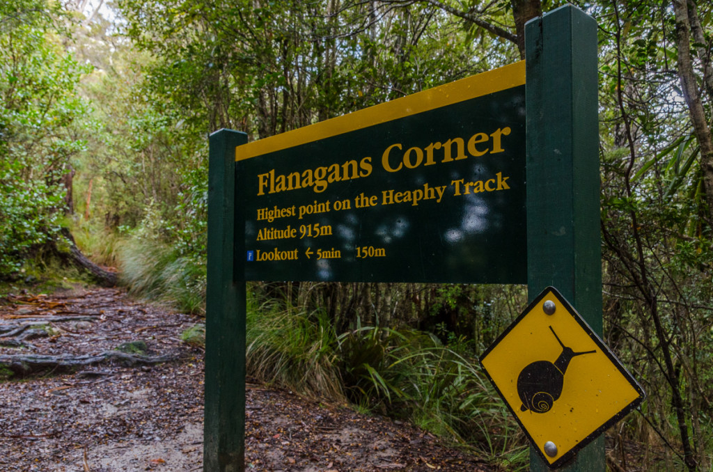 Flanagans Corner, Heaphy Track