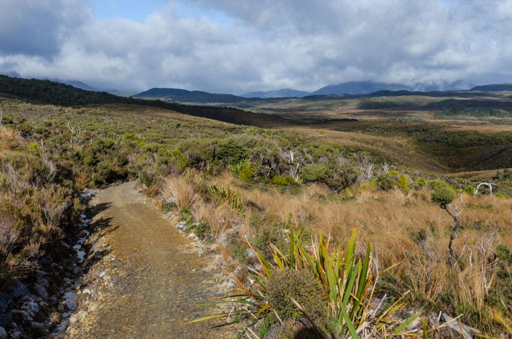 Gouland Downs, Heaphy Track