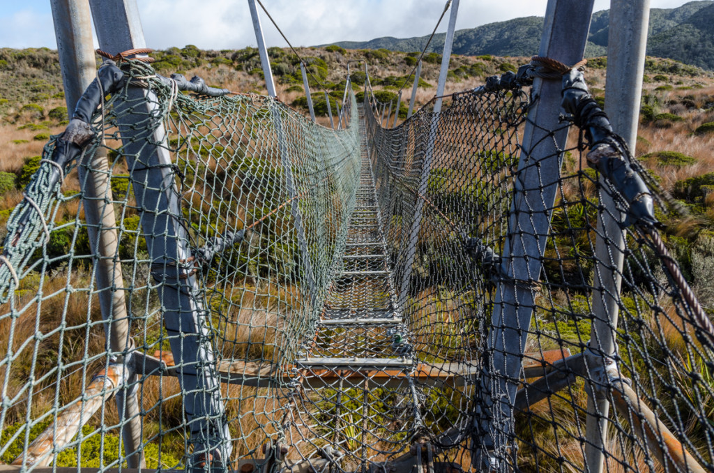 Bridge on the Heaphy Track