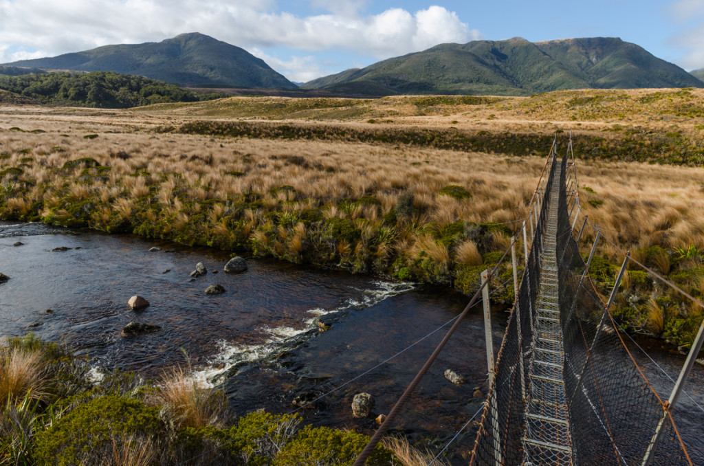 Bridge on the Heaphy Track