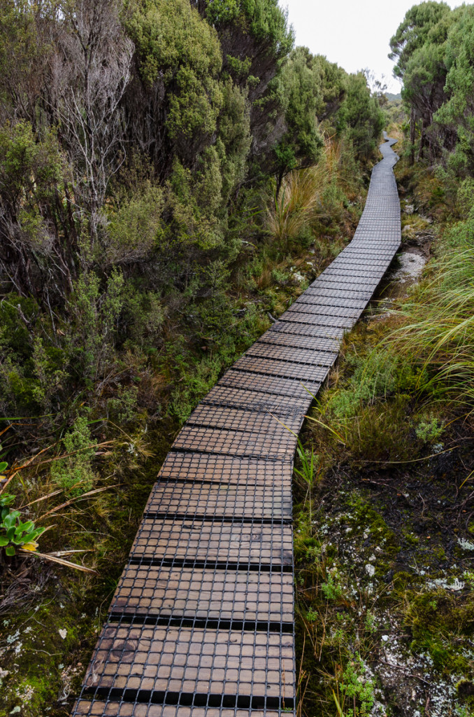 Boardwalk, Heaphy Track