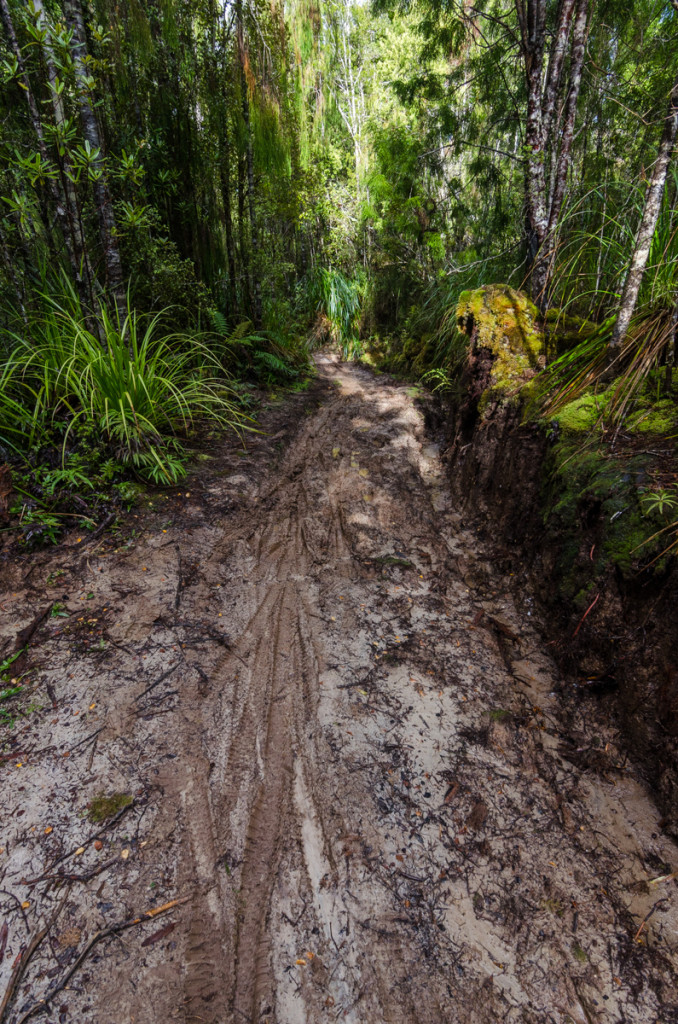 Mud on the Heaphy Track