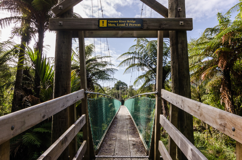 Gunner River Bridge, Heaphy Track