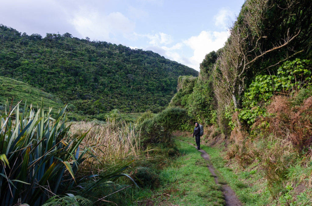 Heaphy Track