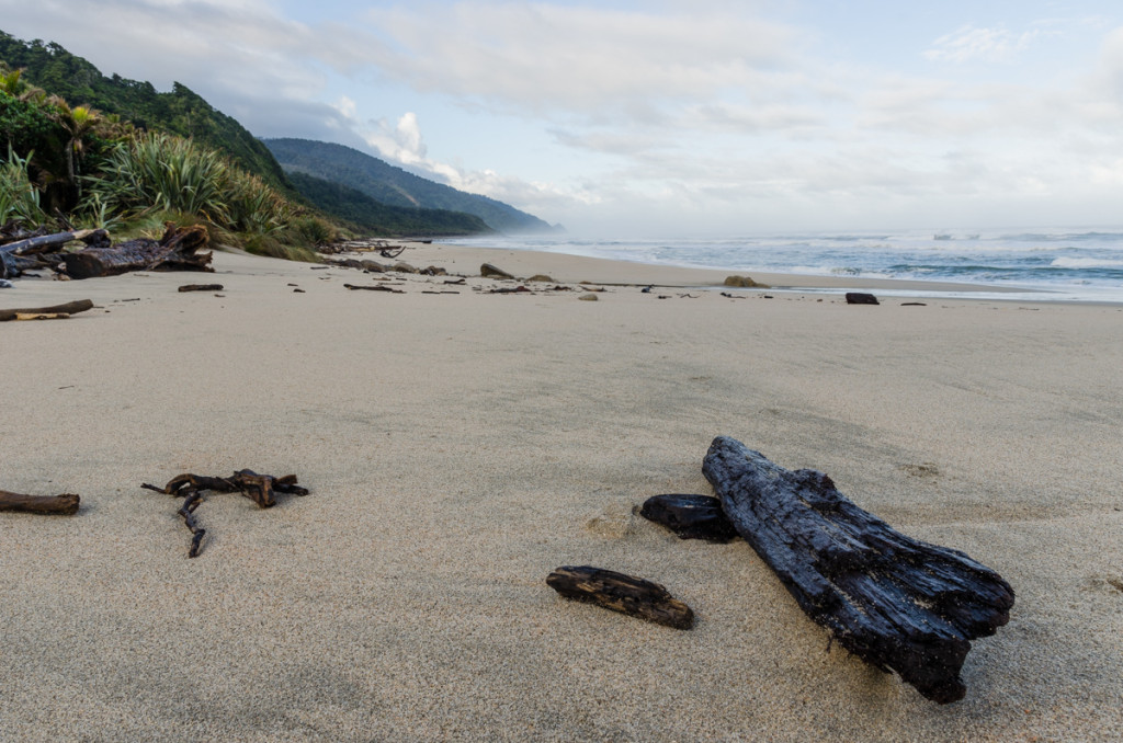 Heaphy Track