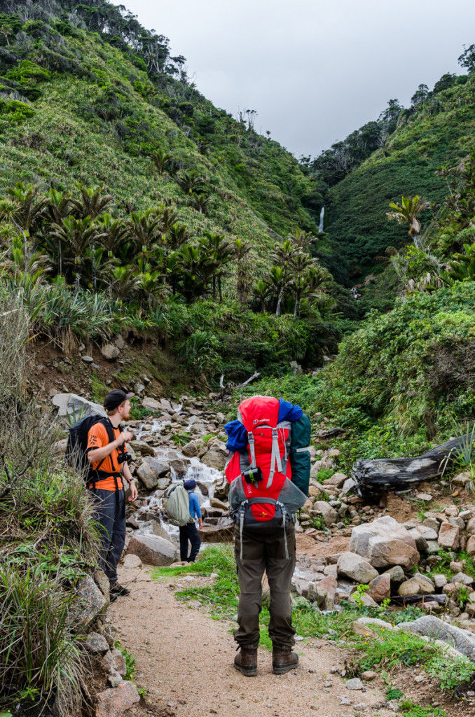 Heaphy Track