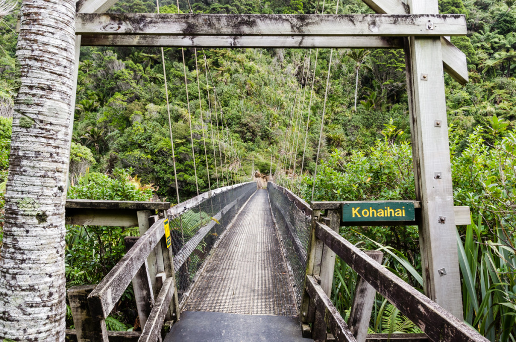 Bridge over Kohaihai river, Heaphy Track