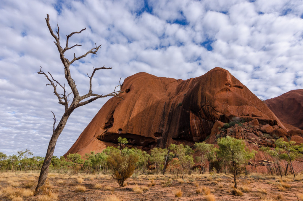 Trail to Mutitjulu Waterhole