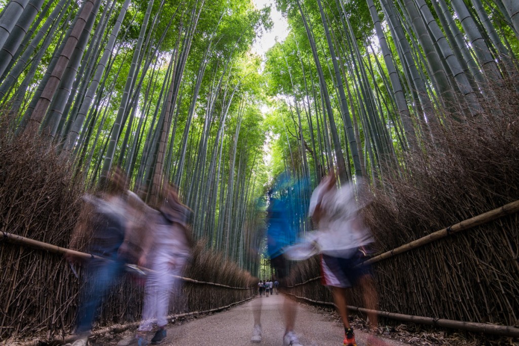 Arashiyama bamboo grove, Kyoto