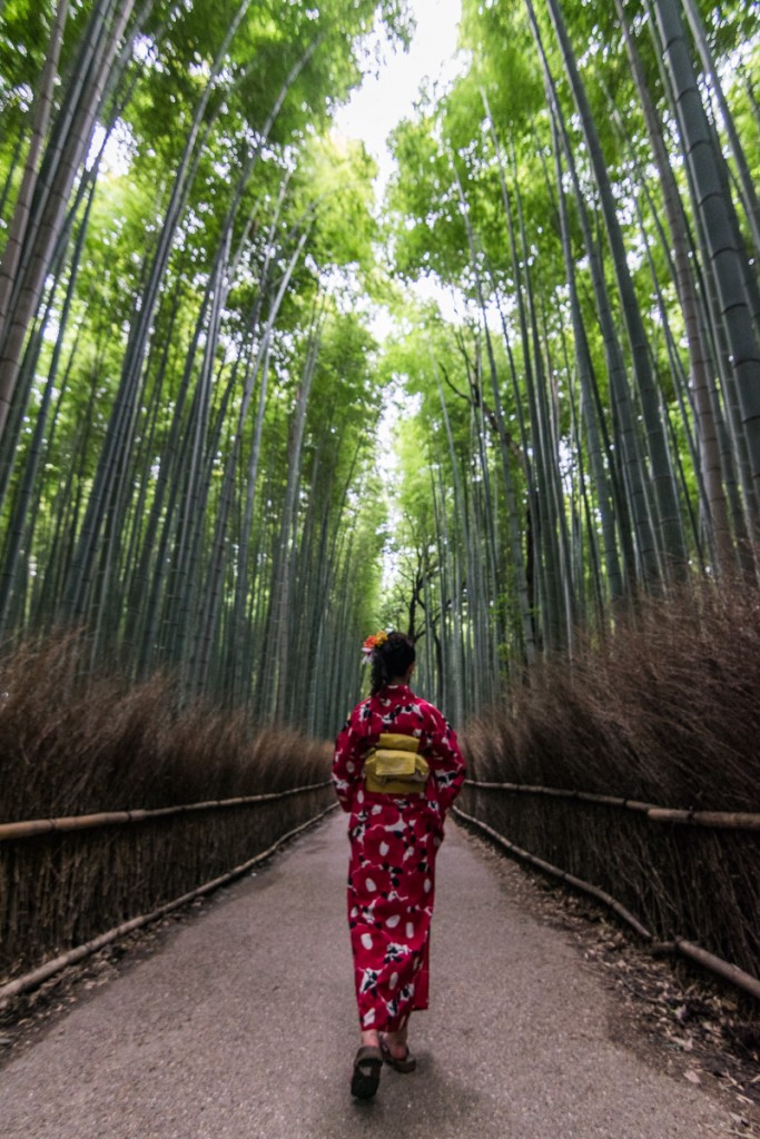 Arashiyama bamboo grove, Kyoto