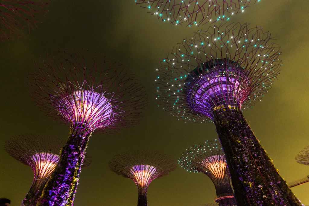 Gardens by the Bay, Singapore