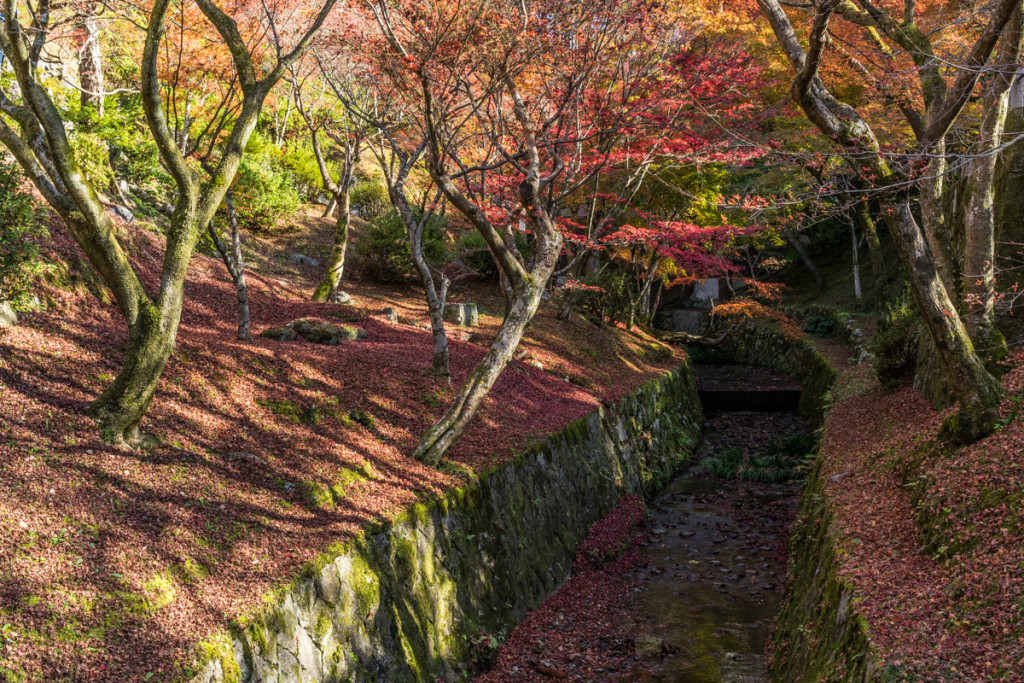 Autumn colors, Tofukuji Temple, Kyoto