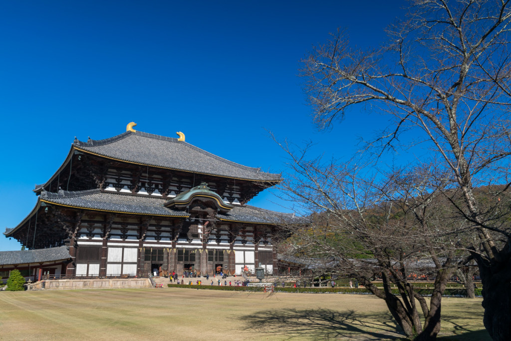 Todaiji Temple, Nara