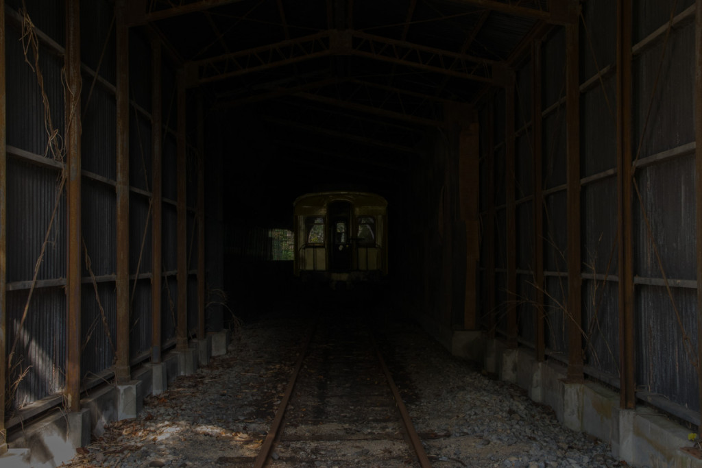 Nara Dreamland