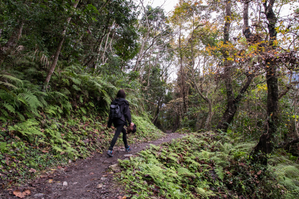 Walami Trail, Taiwan