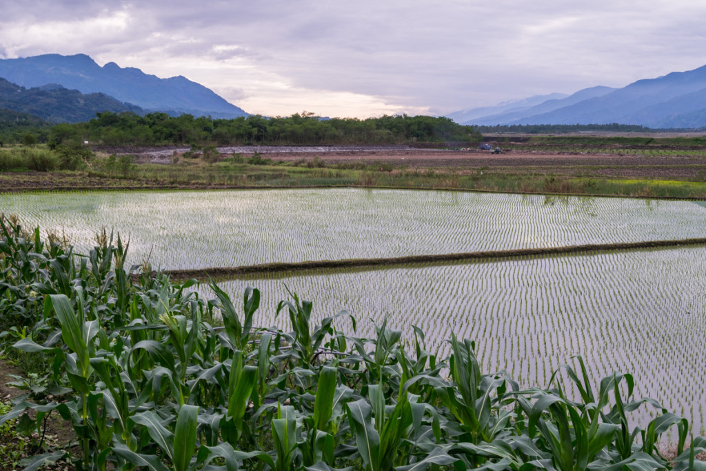 Yuli, Taiwan