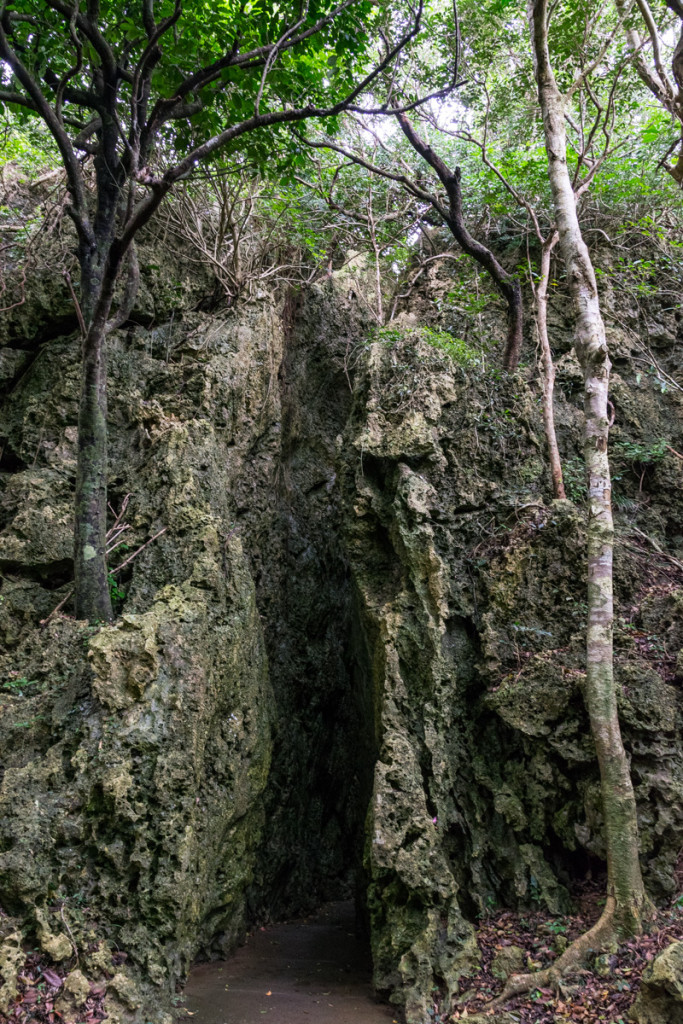 Kenting Forest Recreation Area