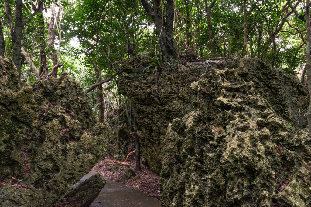 Kenting Forest Recreation Area