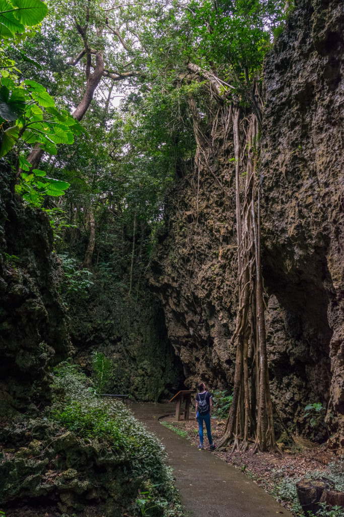 Kenting Forest Recreation Area