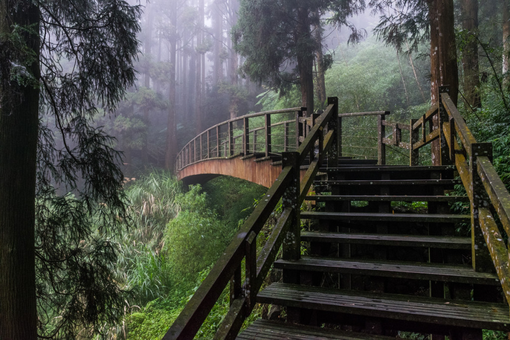 Fenqihu Trail, Alishan National Scenic Area