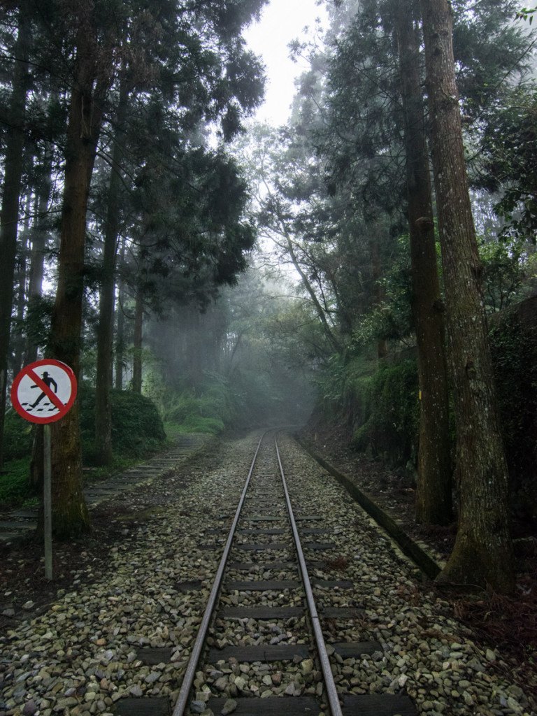 Fenqihu Trail, Alishan National Scenic Area