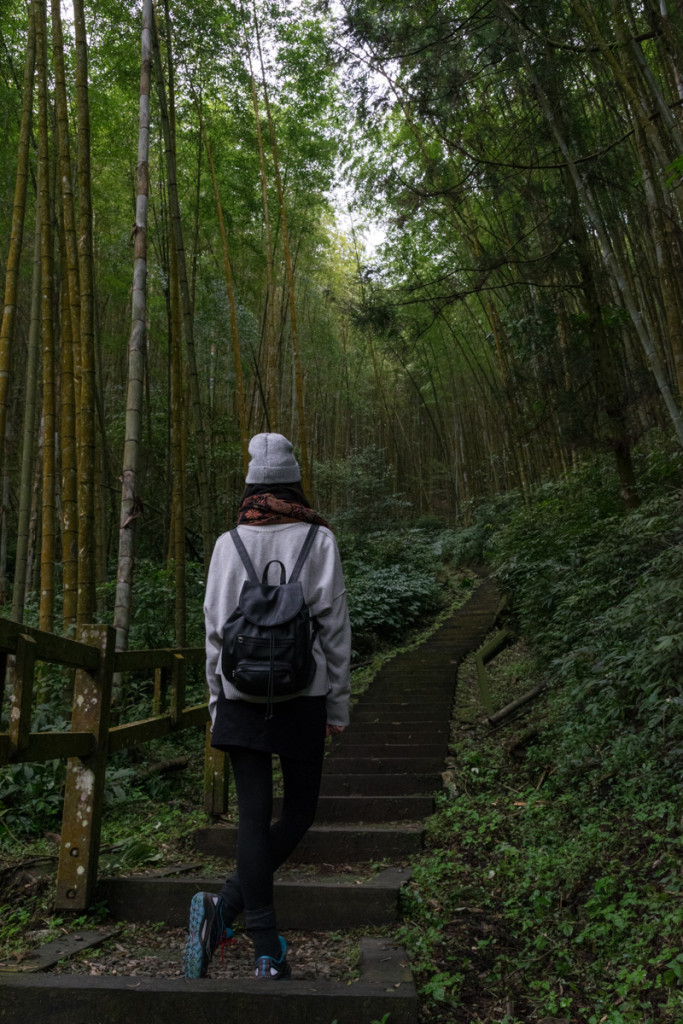 Fenqihu Trail, Alishan National Scenic Area