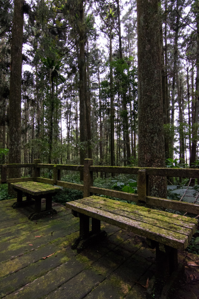 Fenqihu Trail, Alishan National Scenic Area