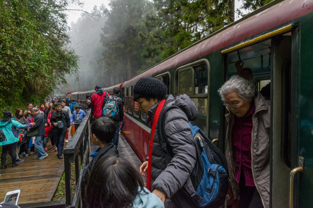 Sacred Tree Station, Alishan Forest Railway