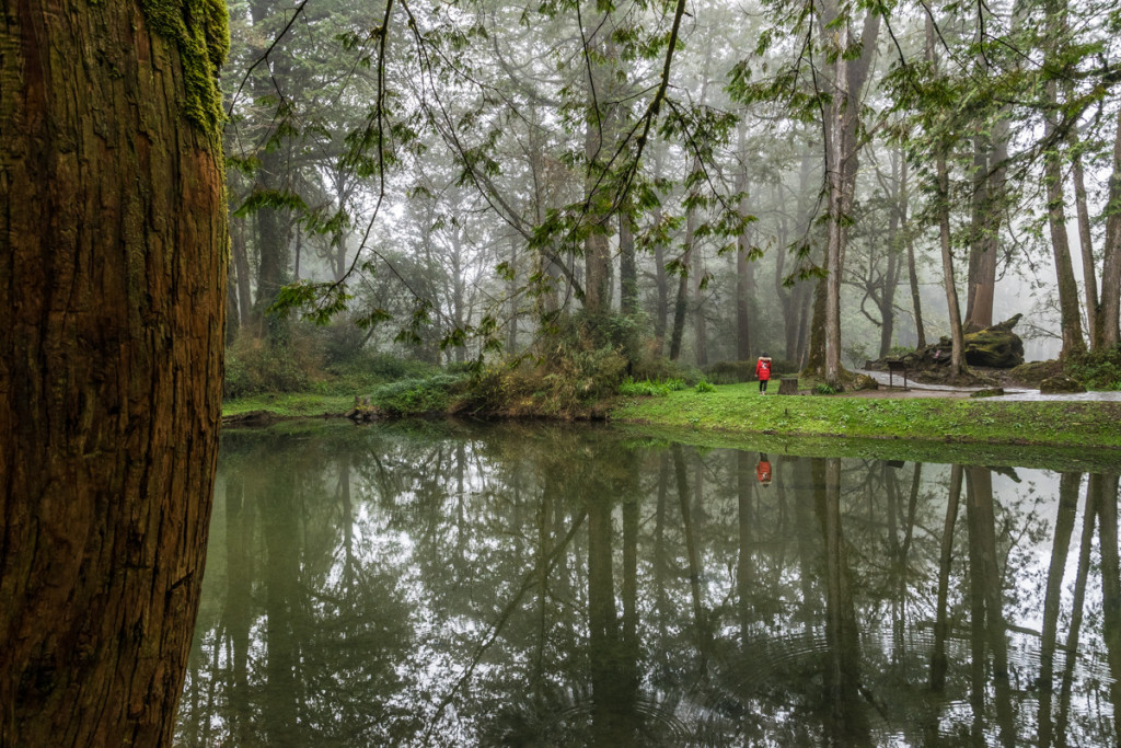 The Sister Pond, Alishan National Forest Recreation Area