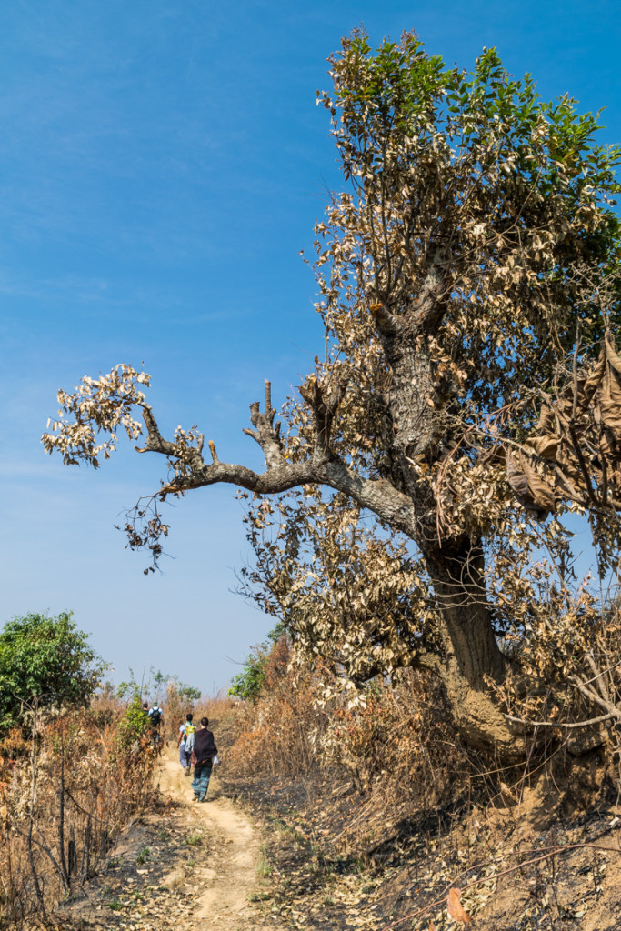 Hike from Kalaw to Inle Lake, Myanmar