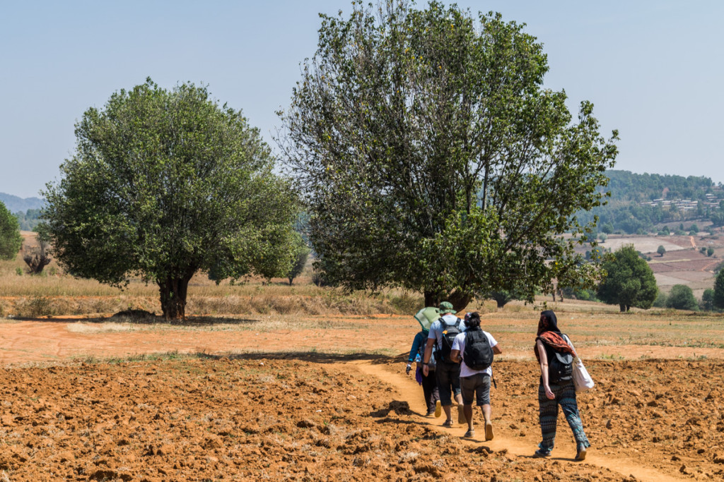 Hike from Kalaw to Inle Lake