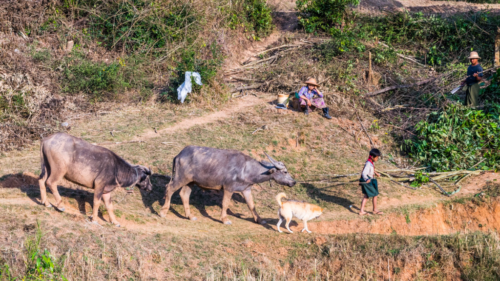 Hike from Kalaw to Inle Lake