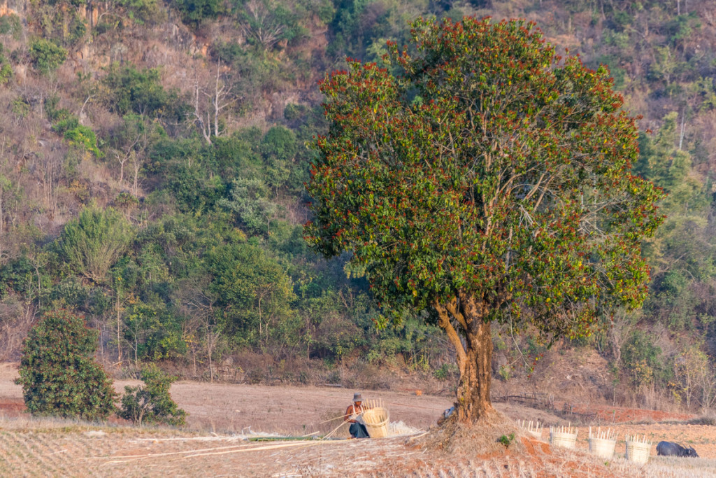 Hike from Kalaw to Inle Lake