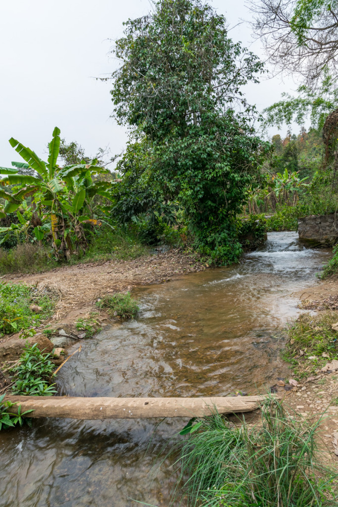 Hike to waterfall, Hsipaw