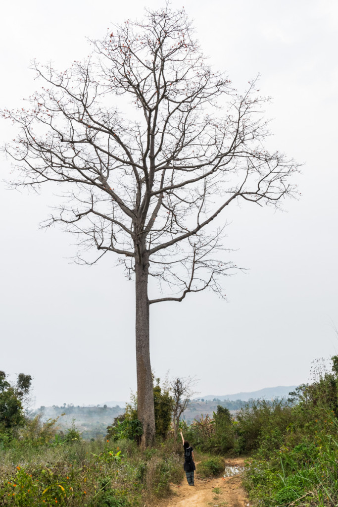 Hike to waterfall, Hsipaw